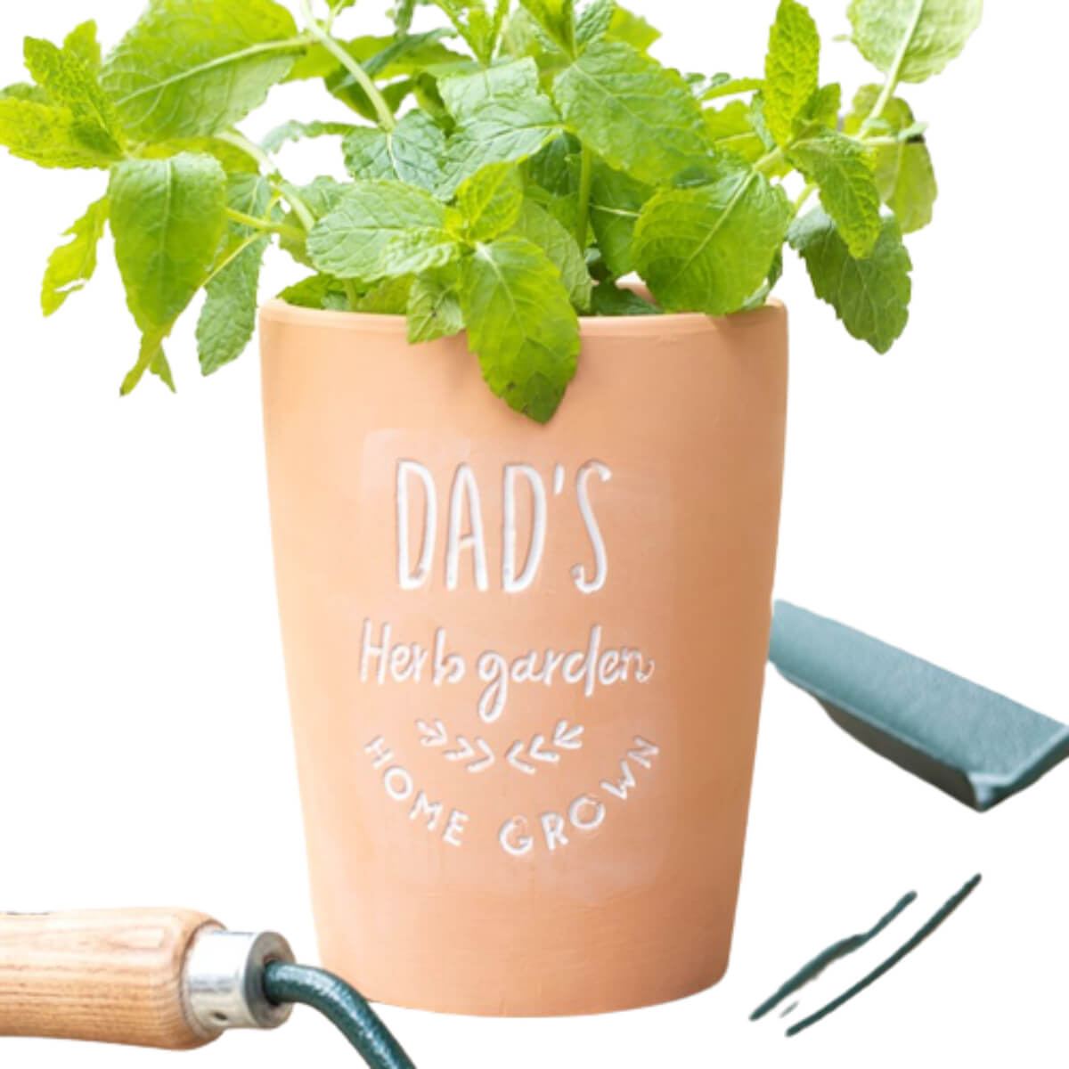 Dad's Garden Terracotta Plant Pot - Image 2